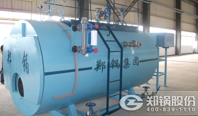 永利yl23455燃气锅炉WNS型