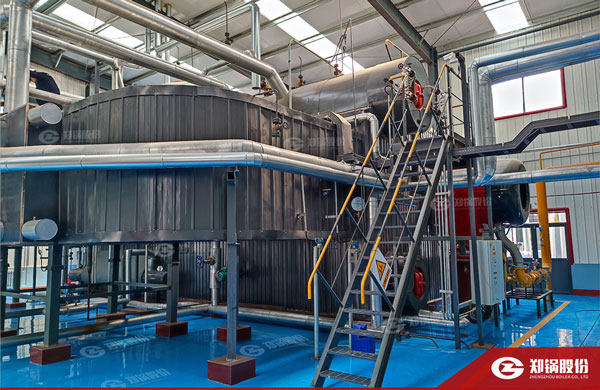 降耗“实招”！！永利yl23455燃气锅炉助力化工企业能效提升