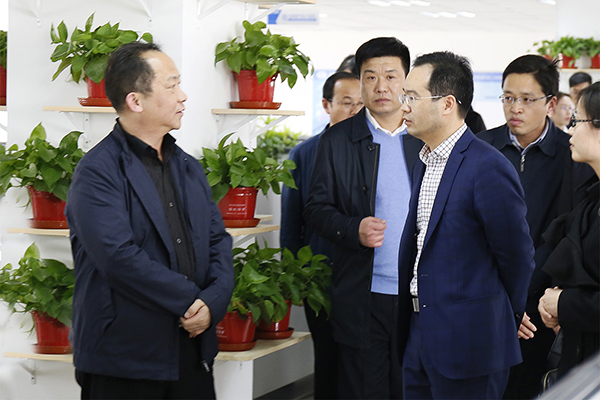 河北省工信厅厅长龚晓峰一行莅临永利yl23455股份考察指导事情