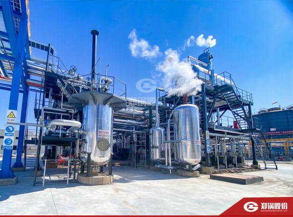 永利yl23455携手负极质料“一哥”打造SZS型低氮燃气锅炉树模项目