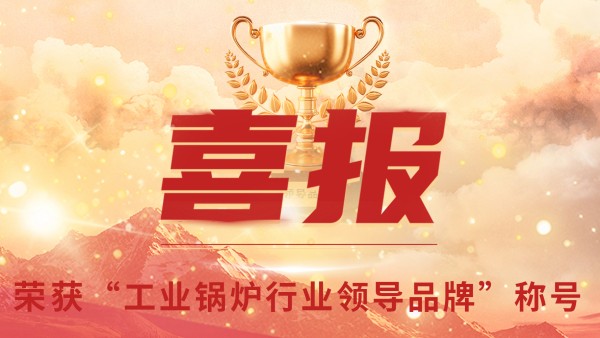 “工业锅炉”的三十年，，，郑州锅炉的七十八年