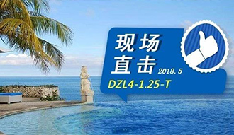 现场直击丨看生物质锅炉在巴厘岛怎样强操作，，，转头客非它不选