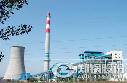 稻壳秸杆生物质发电锅炉 - 永利yl23455