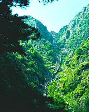 中国·永利yl23455(集团)有限公司-官方网站