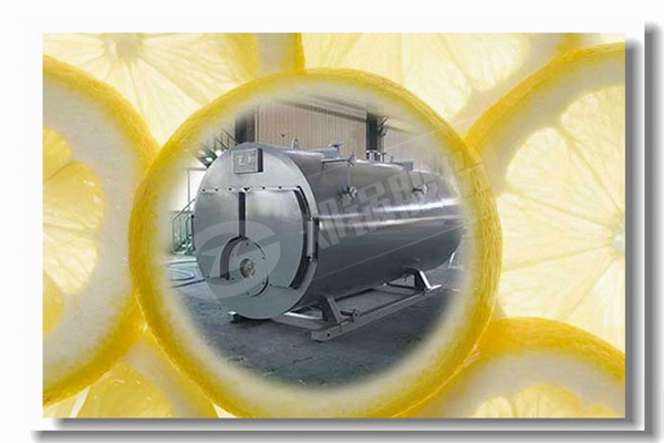 工业气体颗粒锅炉价钱