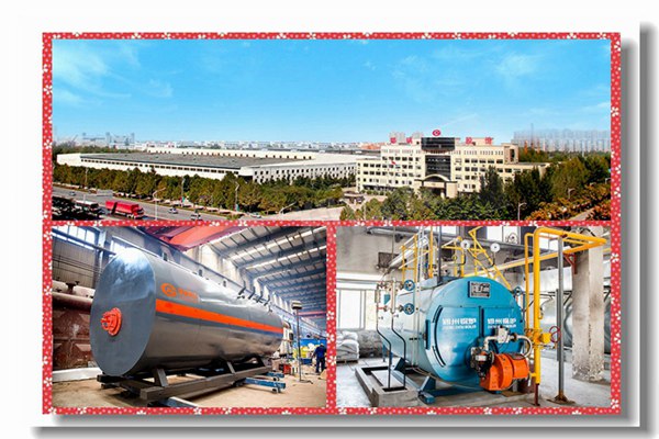 生物质燃料锅炉的原理是什么？？？