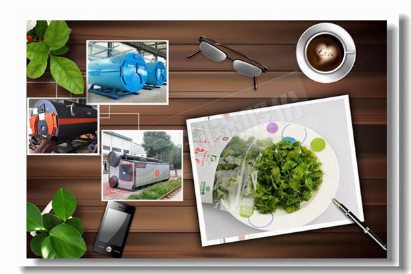 燃油管油热水锅炉价钱